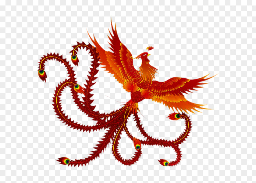 Fire Phoenix Painting China Fenghuang Chinese Dragon Symbol PNG