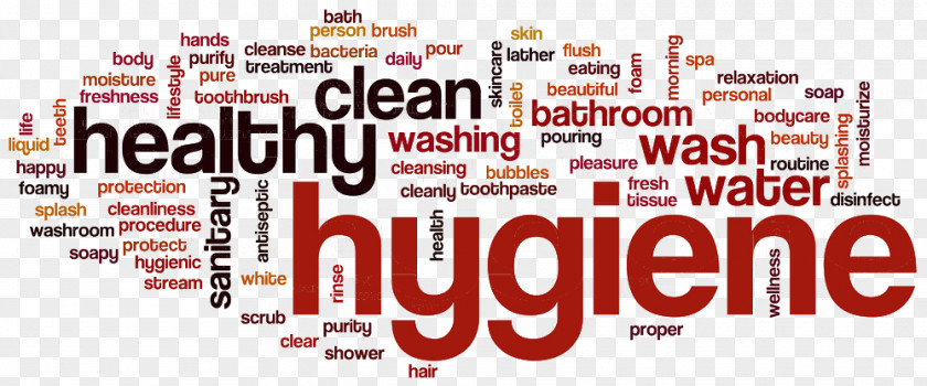 Good Health Hygiene Stock Photography Can Photo PNG