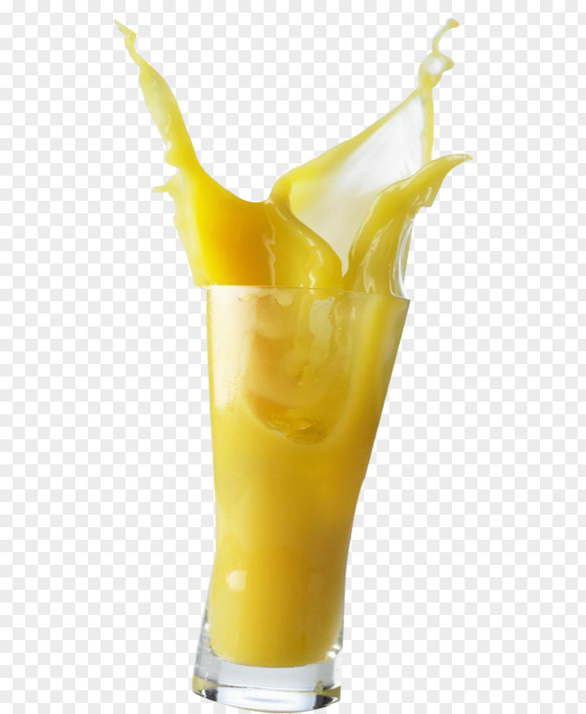 Overflowing Juice Orange Fuzzy Navel Screwdriver Harvey Wallbanger PNG