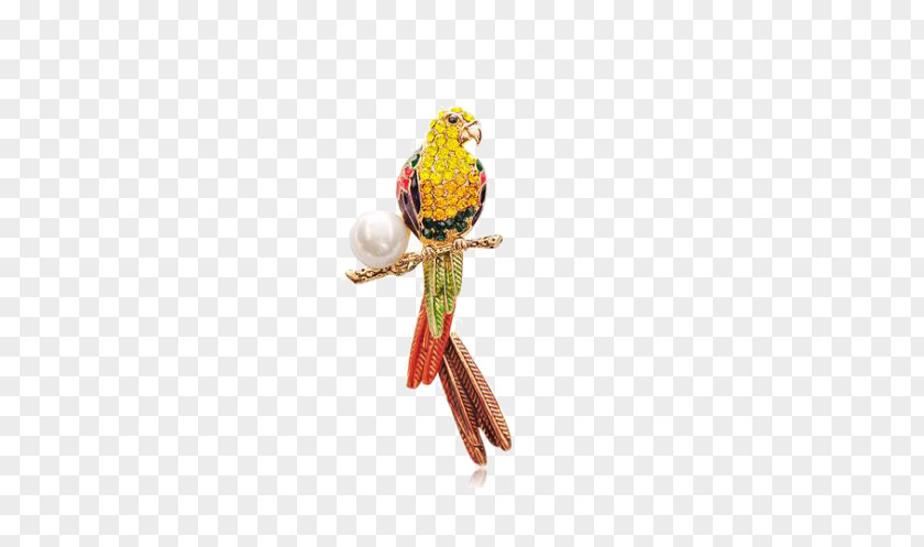 Parrot Brooch Used Good Suit Man Fibula Clothing PNG