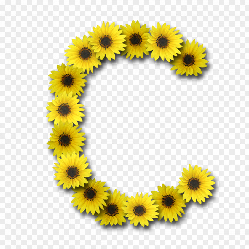 Sunflower Letter Case Alphabet Font PNG