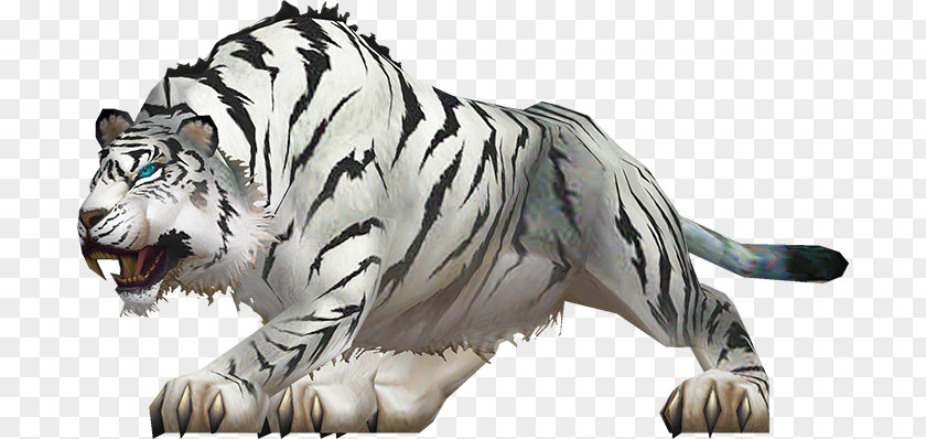 Tiger Siberian Wildlife Celebrity PNG