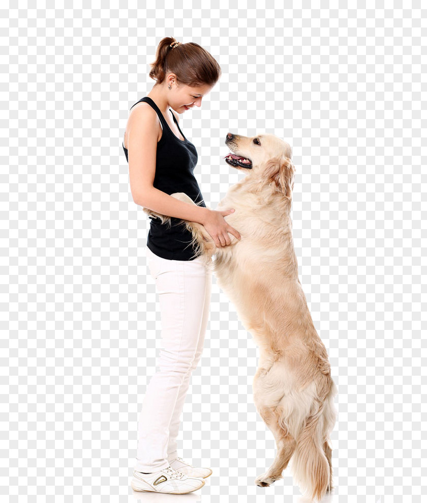 Beauty And The Pet Dog Shih Tzu Cat Paw Stock Photography PNG