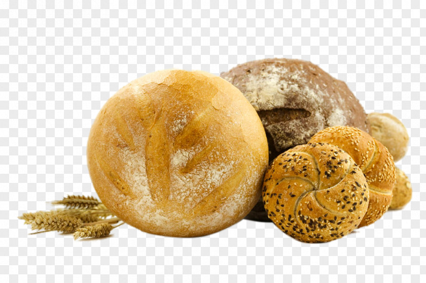 Bun Bread Food Wheat PNG