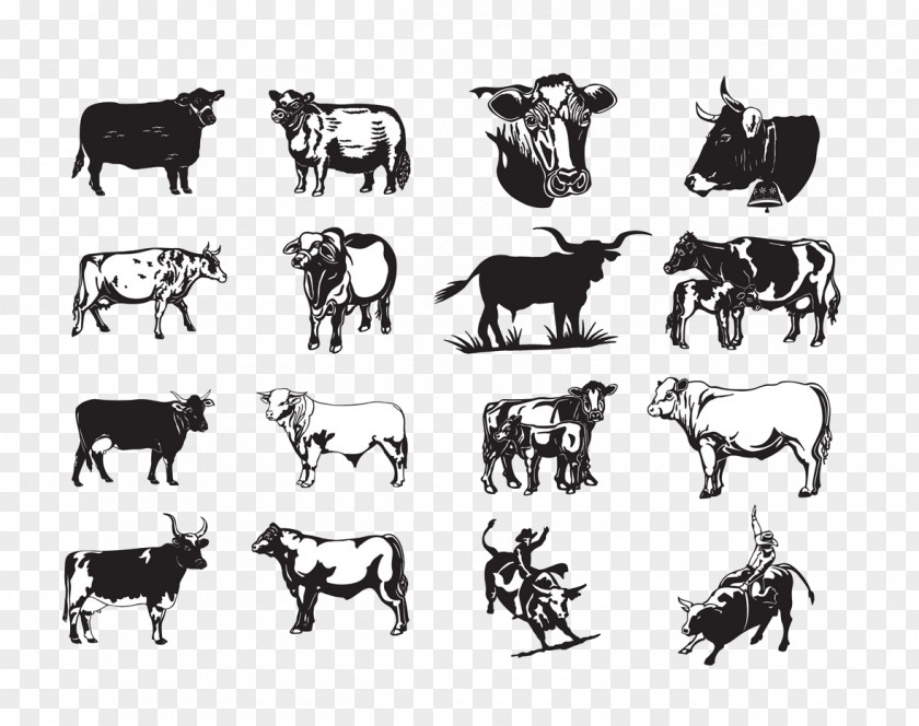 Dairy Cow Texas Longhorn Beef Cattle Bull Clip Art PNG