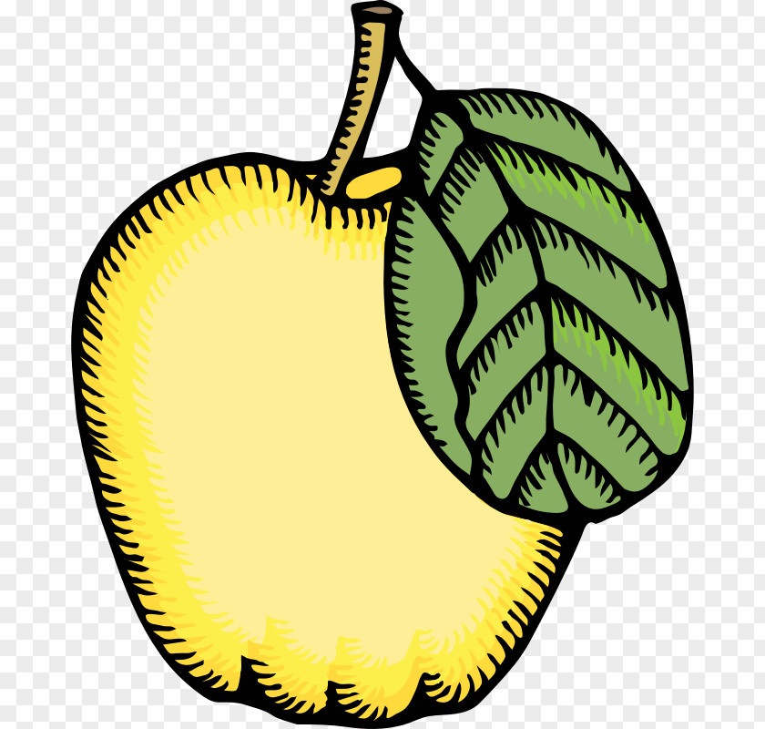 Quince Clip Art PNG