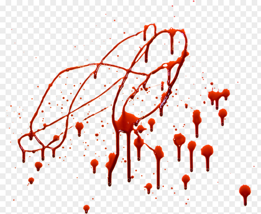 Sangre Blood Clip Art PNG