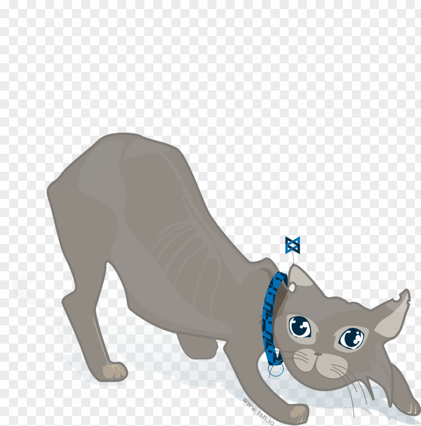 Backbone Whiskers Cat Dog Tail JavaScript Framework PNG