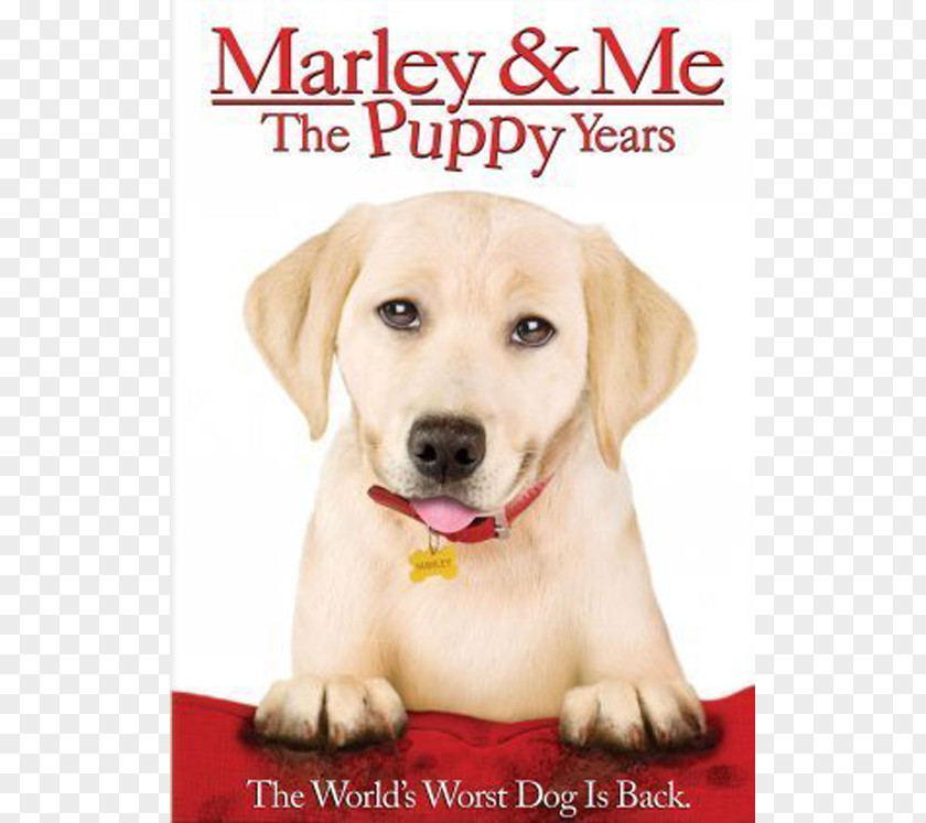 Dog Marley & Me: Life And Love With The World's Worst YouTube Bodi Grogan PNG