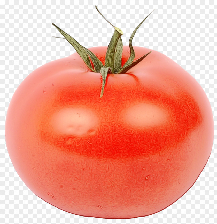 Nightshade Family Food Tomato PNG