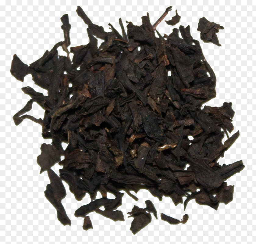 Nilgiri Tea Lapsang Souchong Charcoal Camellia Sinensis PNG