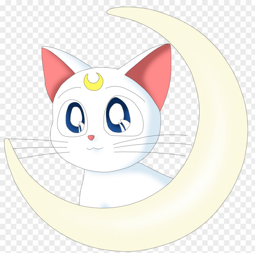 Sailor Moon Artemis Luna Venus Mercury PNG