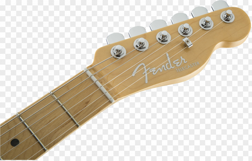 Bass Guitar Fender Stratocaster Telecaster Musical Instruments Corporation Fingerboard PNG