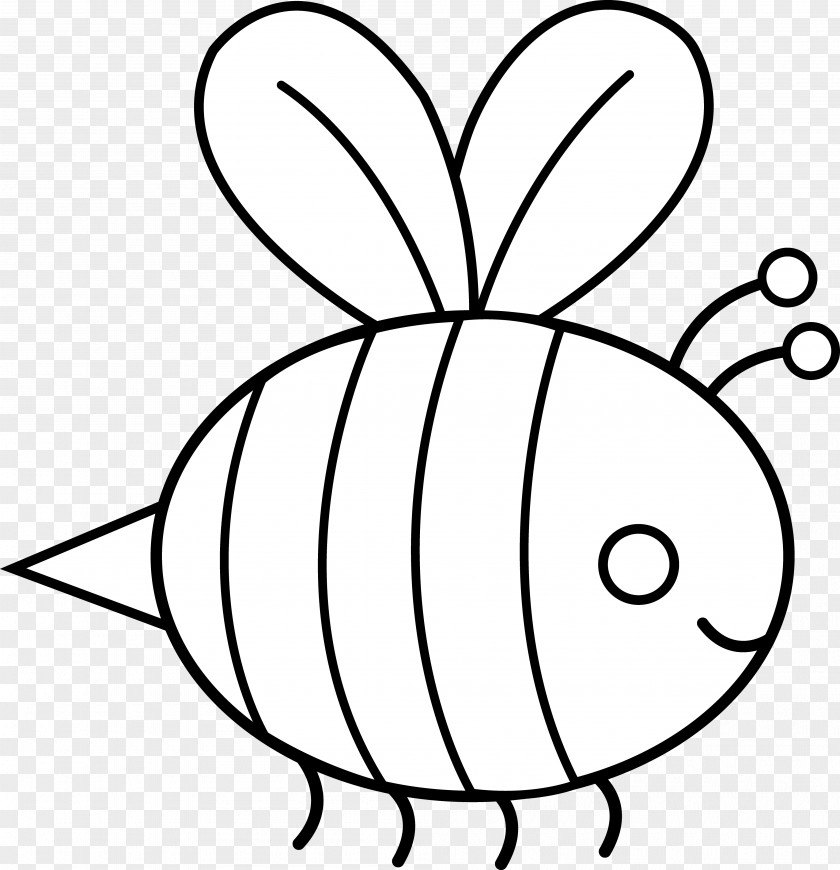 Bumble Bee Outline Bumblebee Black And White Clip Art PNG