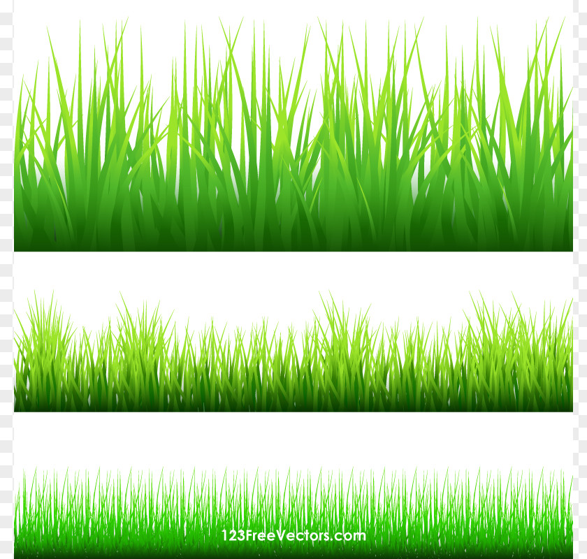 Cliparts Grass Border Clip Art PNG