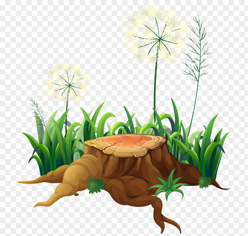 Dandelion And Stump Orangutan Monkey Illustration PNG