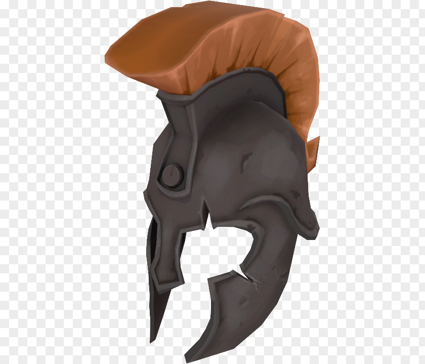Design Equestrian Helmets Snout Headgear PNG