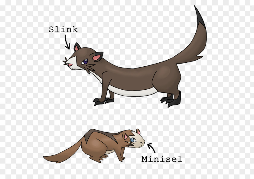 Ferret Weasels Marten Rat Canidae PNG