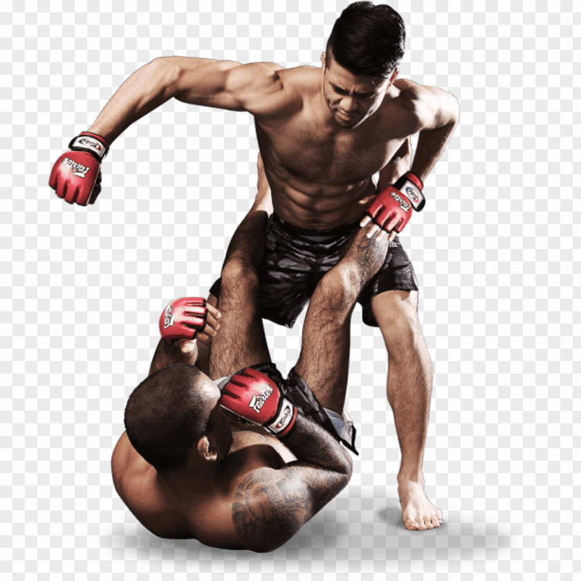 Mixed Martial Arts Ultimate Fighting Championship Display Resolution PNG