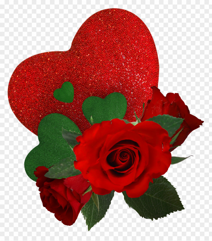 Valentine's Day Garden Roses Love Friendship PNG