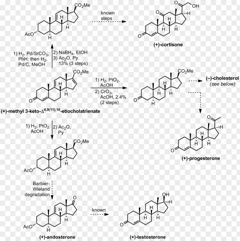 Cholesterol Total Synthesis Organic Chemistry Cortisone PNG