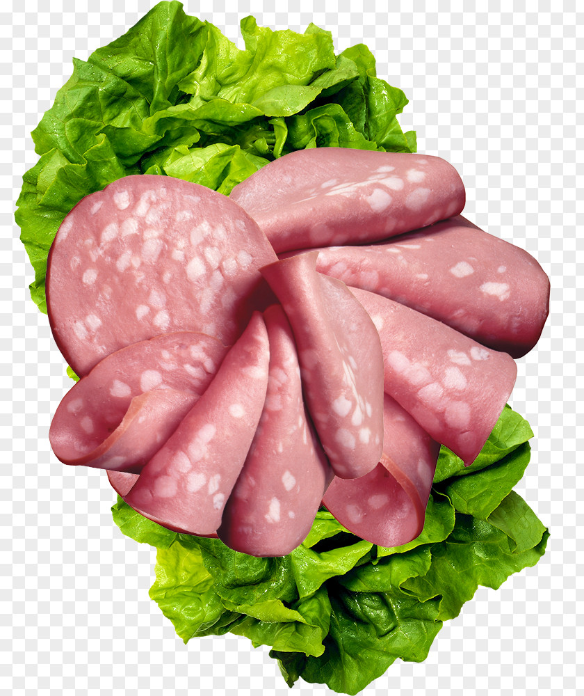 Ham Pot Material Bratwurst Salami Mettwurst Bresaola PNG