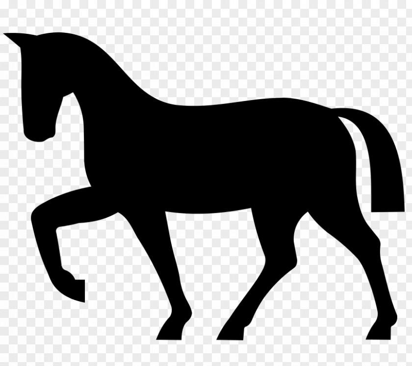 Horse Colt Silhouette Clip Art PNG