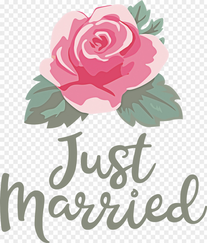 Just Married Wedding PNG