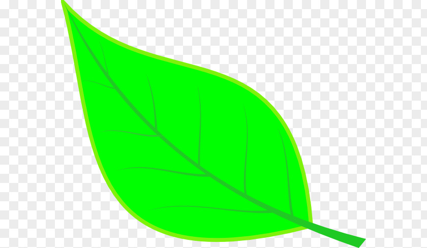 Leaf Line Angle Clip Art PNG