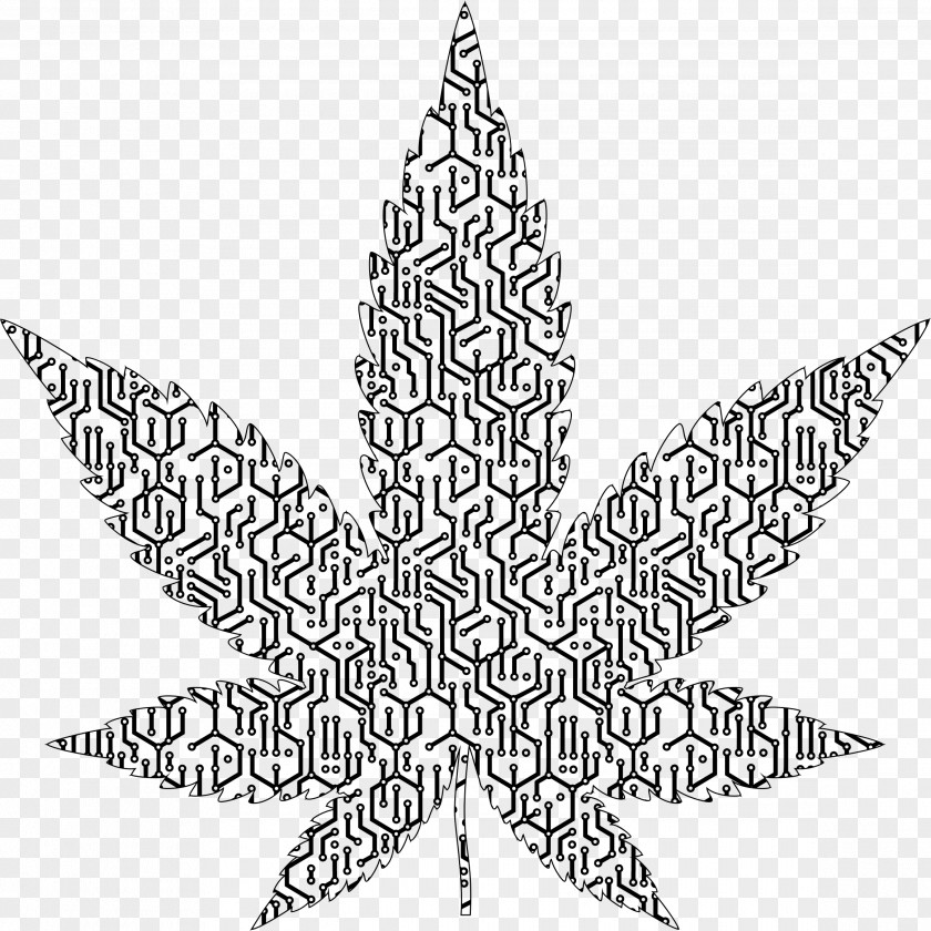 Pot Leaf Medical Cannabis Clip Art PNG