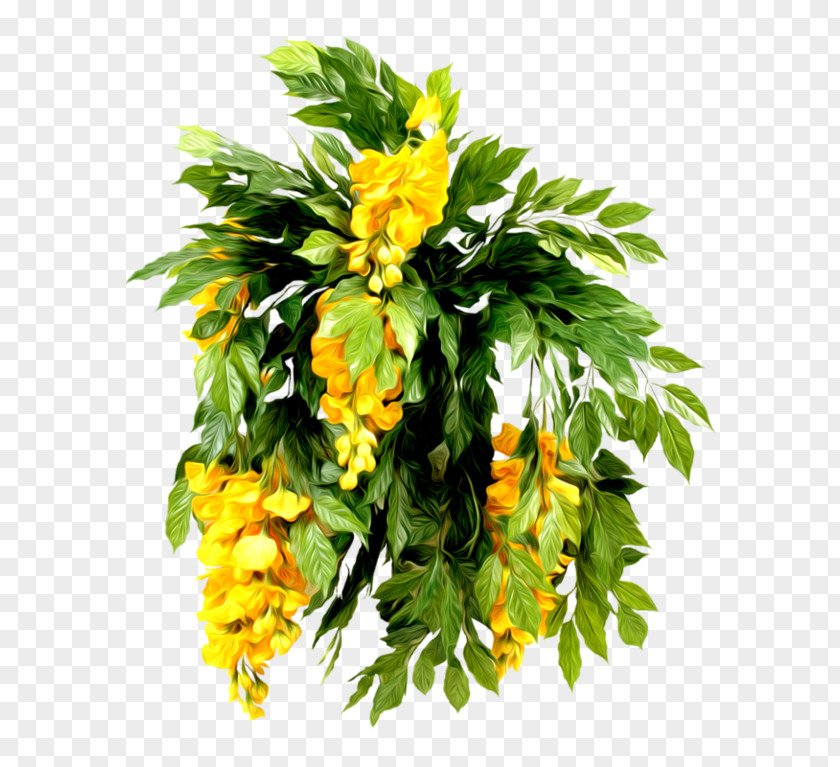 Ylang Cut Flowers Flower Bouquet Floristry Clip Art PNG