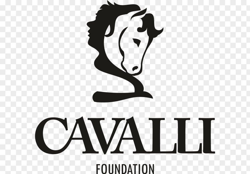Horse Horses Cavalli Foundation Equestrian PNG