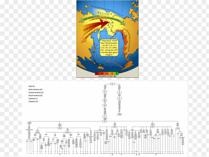 Joseph Smith United States Upward Sun River Site Ice Age Clovis Culture Archaeological PNG