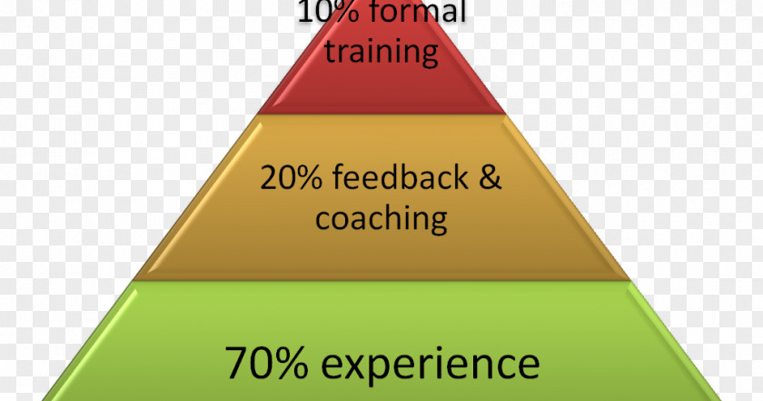 Learning Social Class Stratification Racial Hierarchy Society PNG