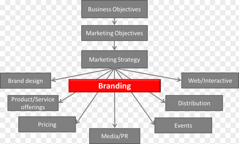 Marketing Brand Management Logo PNG