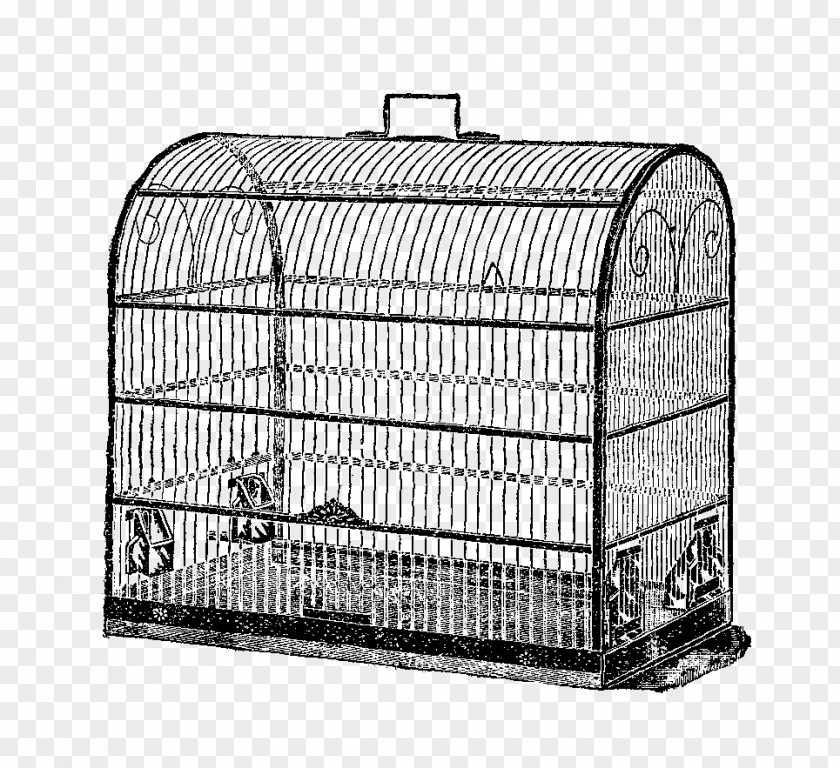 Birdcage Antique Clip Art PNG