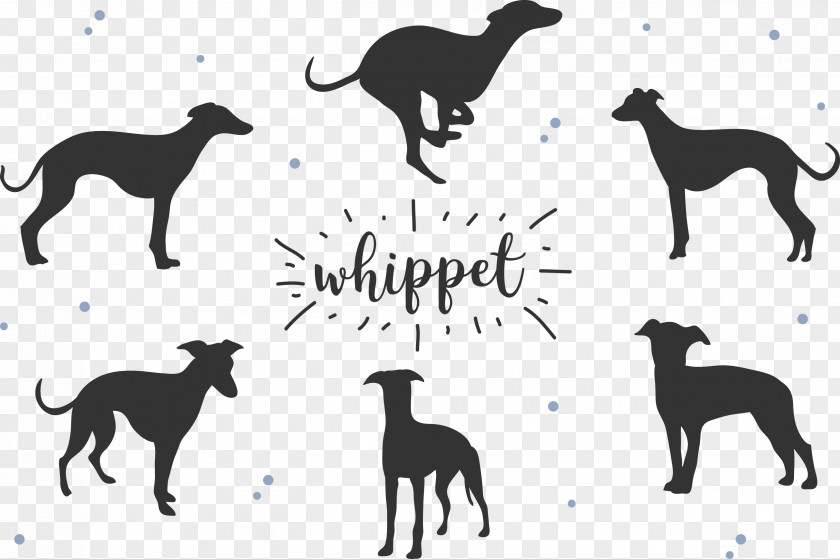 Black Dog Whippet Greyhound Breed Silhouette PNG