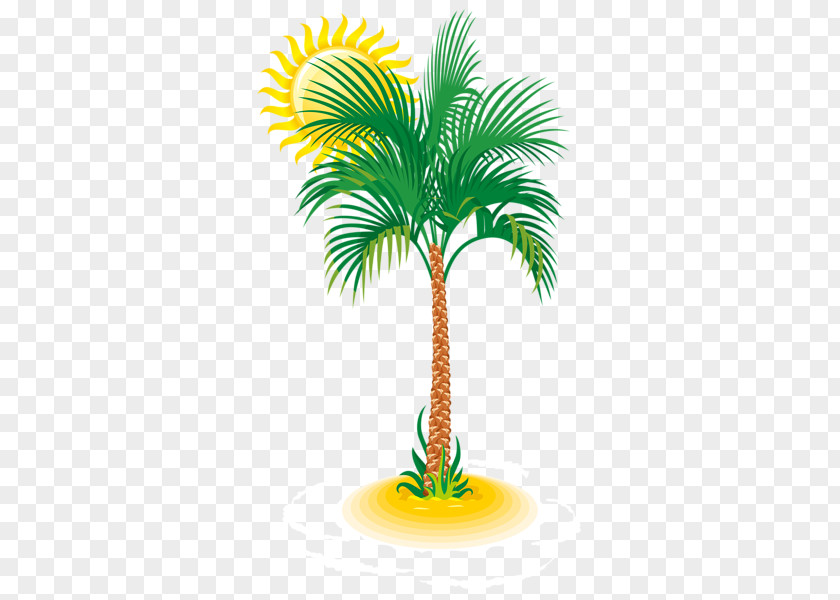 Coconut Trees Under The Sun PNG trees under the sun clipart PNG
