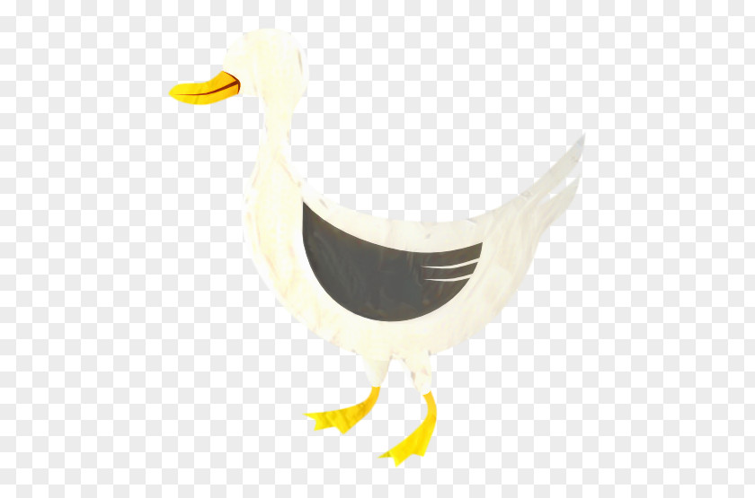 Gull Ducks Geese And Swans Water Cartoon PNG