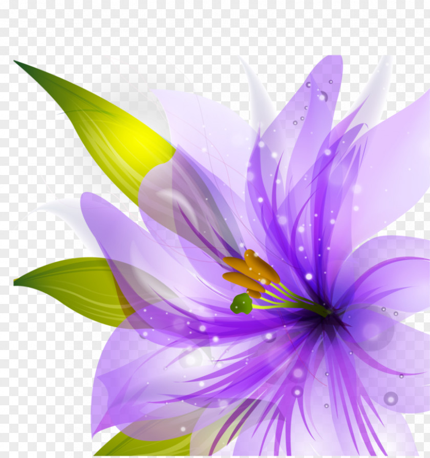 Lavender Border Flowers Purple Desktop Wallpaper Lilium PNG