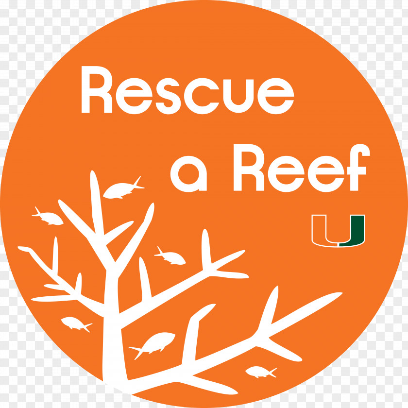 Ok Tedi River Coral Reef Fish Rescue A PNG
