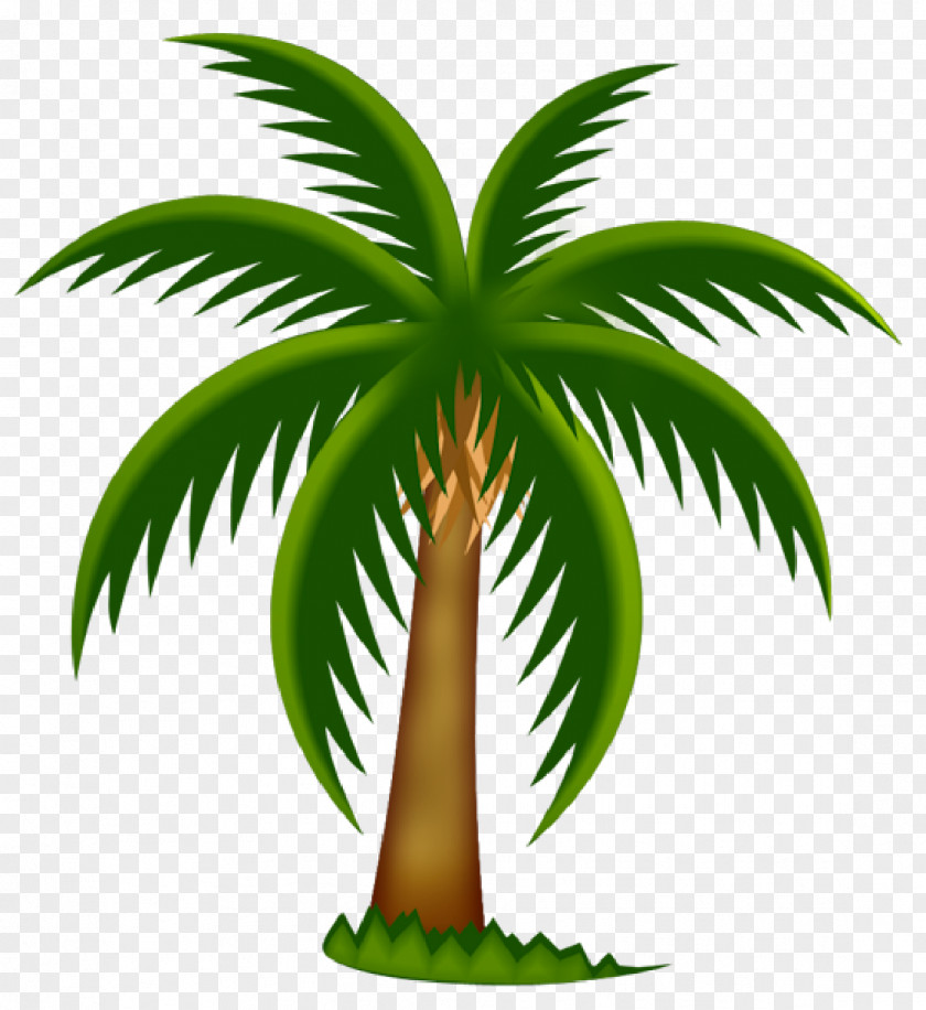 Palm Trees Arecaceae Date Tree Clip Art PNG