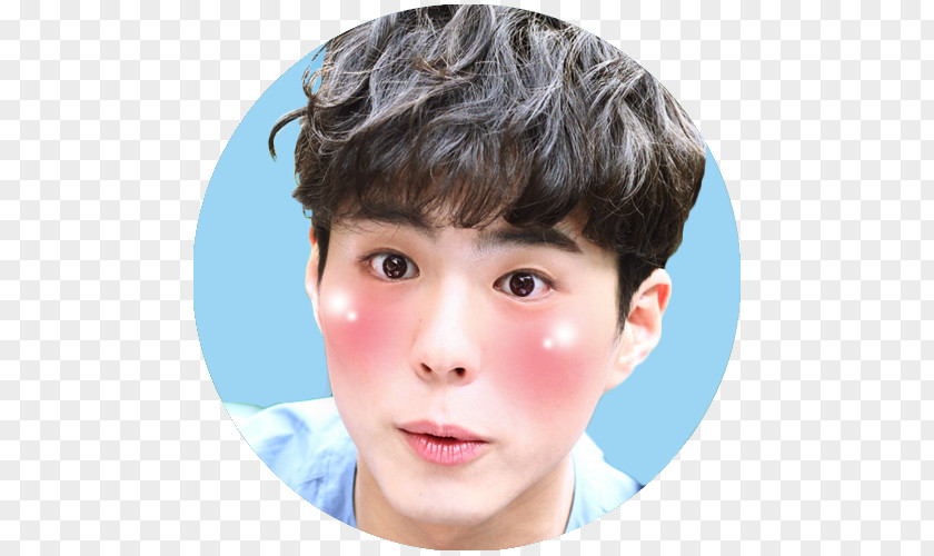 Park Bo-gum Love In The Moonlight Korean Drama Chin Cheek PNG