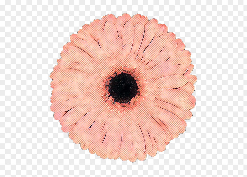 Petal Plant Pink Gerbera Eye Flower PNG