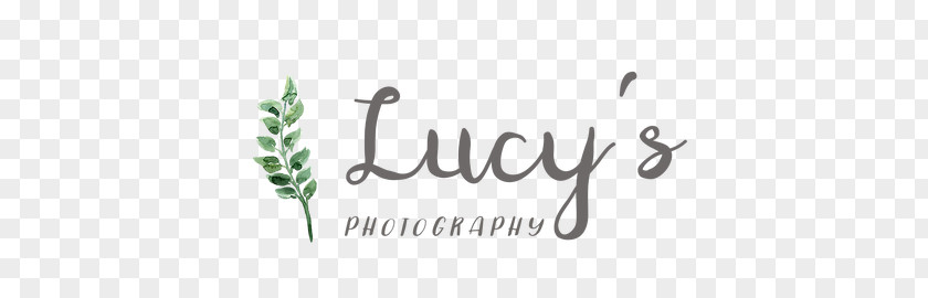 Photographer Lucy's Photography Printing Canvas Print PNG