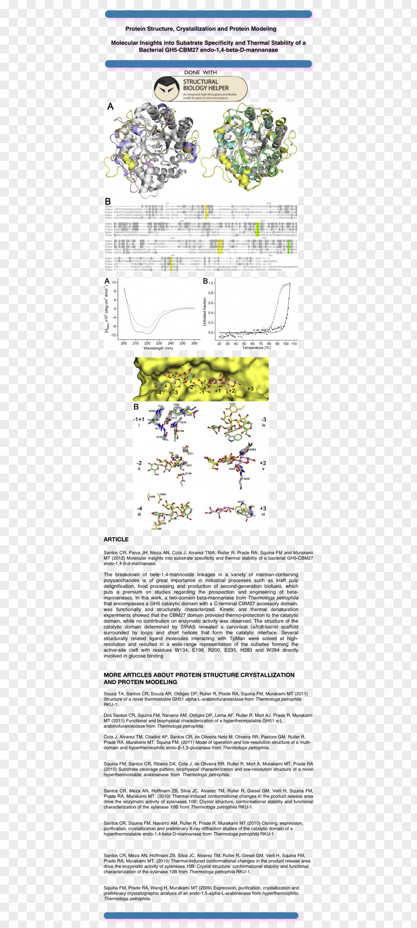 Plants Document Line PNG