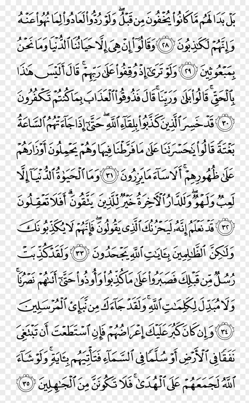 Quran Kareem Qur'an Surah Juz' Al-An'am Al-Ma'ida PNG