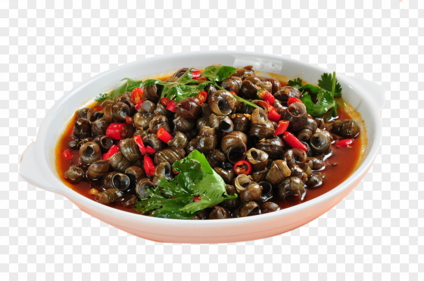 Spicy Snail Vegetarian Cuisine U7092u7530u87ba Beefsteakplant Viviparidae Stir Frying PNG