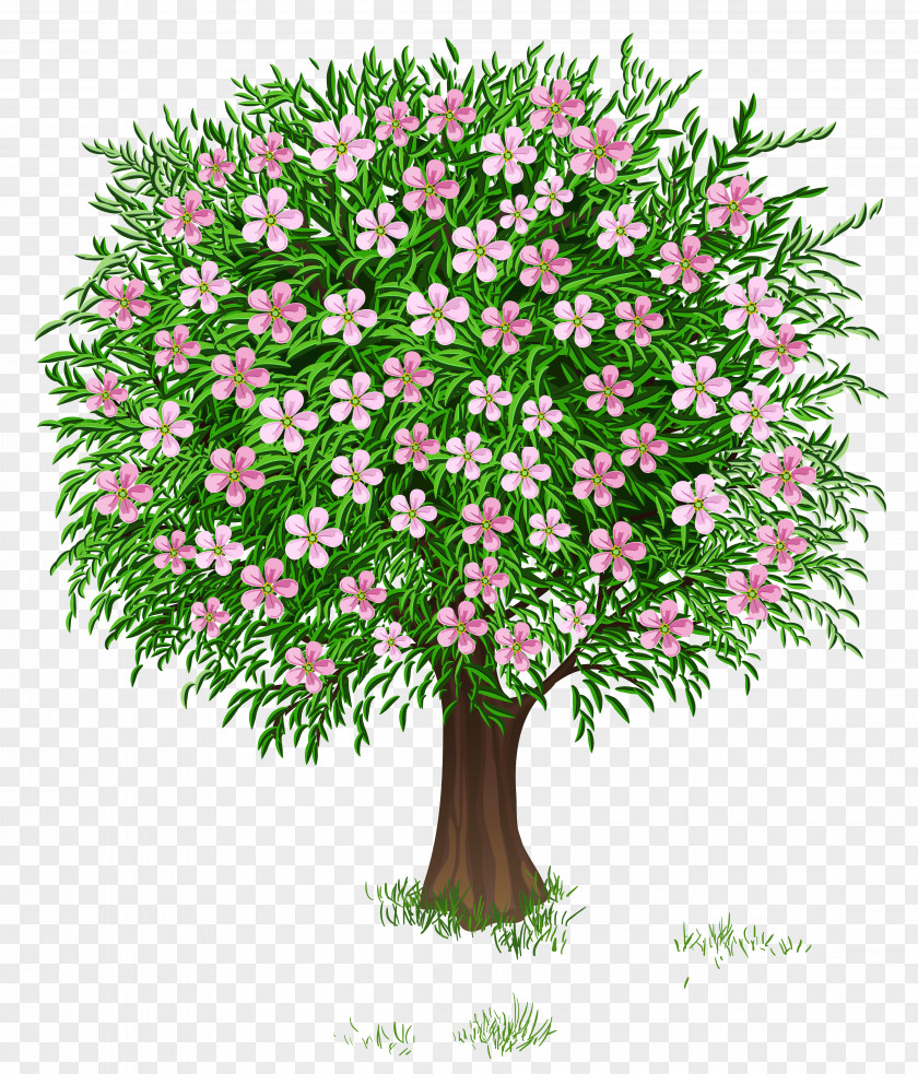 Spring Tree Transparent Clipart Picture Clip Art PNG