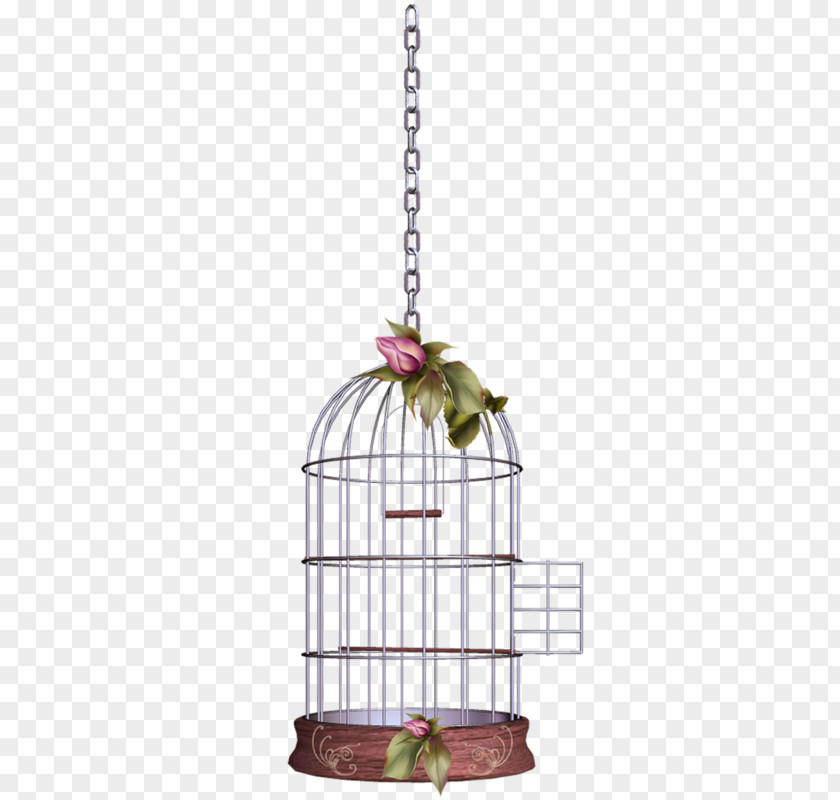 Bird Birdcage Adobe Photoshop PNG